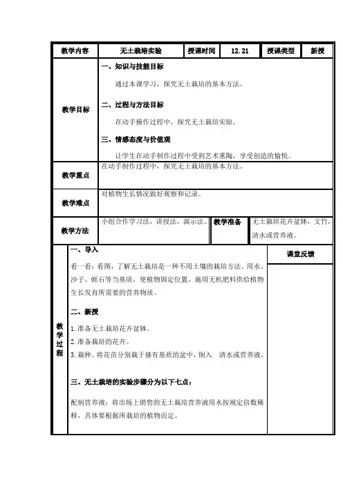 无土栽培实验(教案)- 综合实践活动四年级上册 