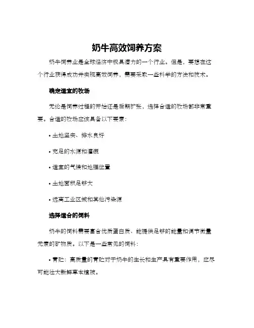 奶牛高效饲养方案