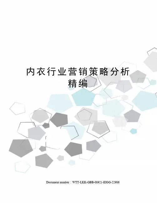 内衣行业营销策略分析精编