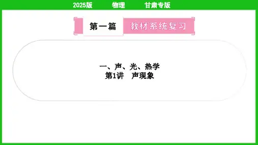 2025年中考物理总复习第一部分考点梳理第1讲声现象