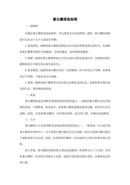 番石榴采收标准