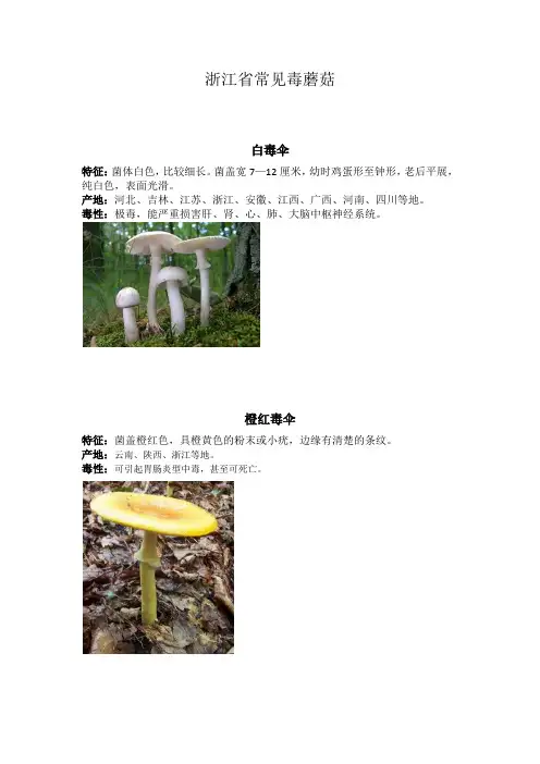 浙江省常见毒蘑菇