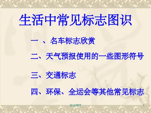 《生活中常见标志》PPT课件