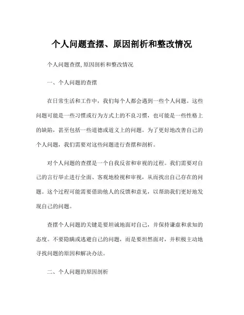 个人问题查摆、原因剖析和整改情况