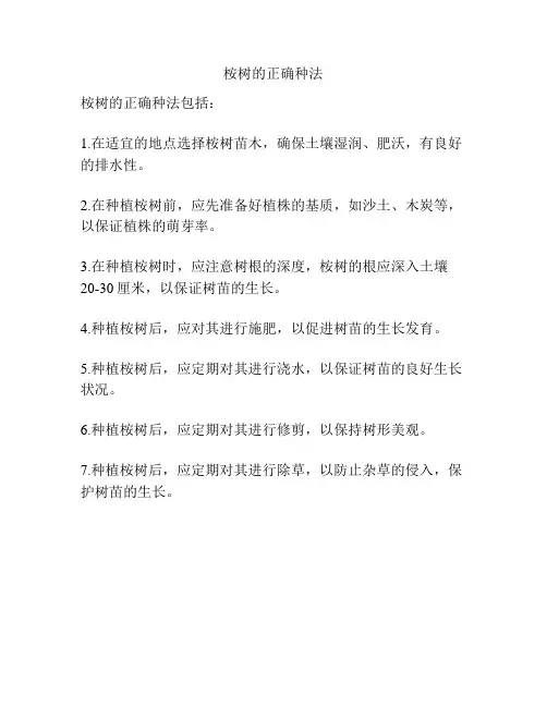 桉树的正确种法
