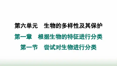 人教版八年级生物上册第六单元第一章根据生物的特征进行分类第一节尝试对生物进行分类课件