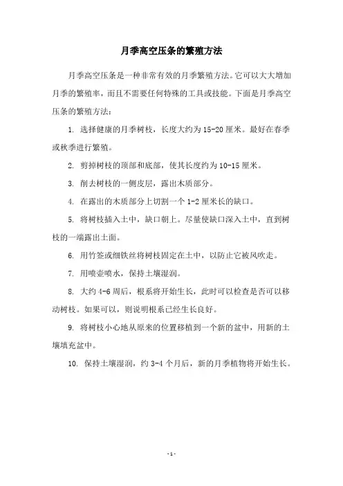 月季高空压条的繁殖方法