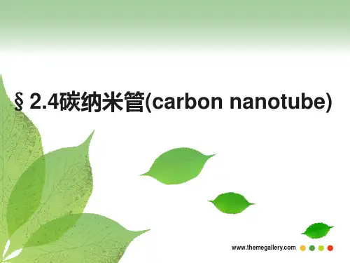 纳米结构单元-3