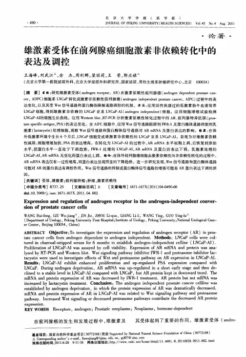 雄激素受体在前列腺癌细胞激素非依赖转化中的表达及调控