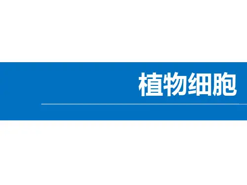 最新人教版初中生物七年级上册《植物细胞》优质教学课件