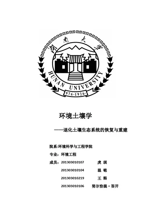 土壤学结课论文