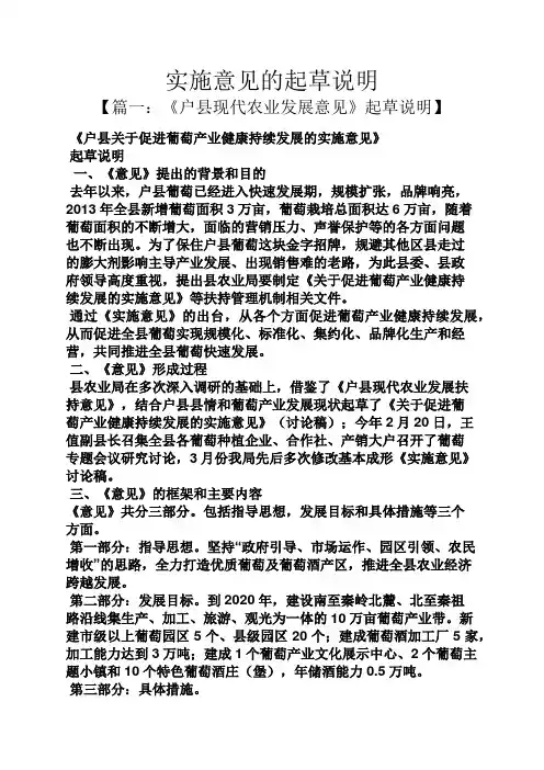 说明书之实施意见的起草说明