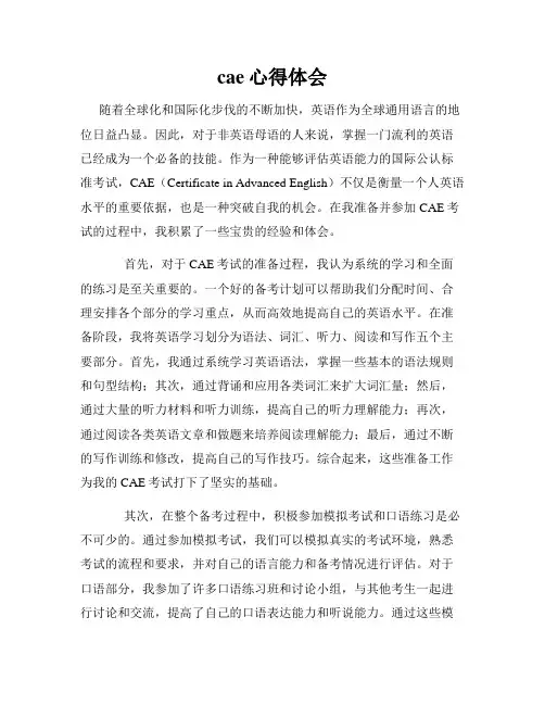 cae心得体会