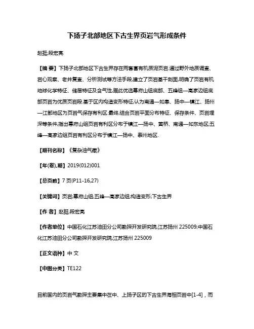 下扬子北部地区下古生界页岩气形成条件