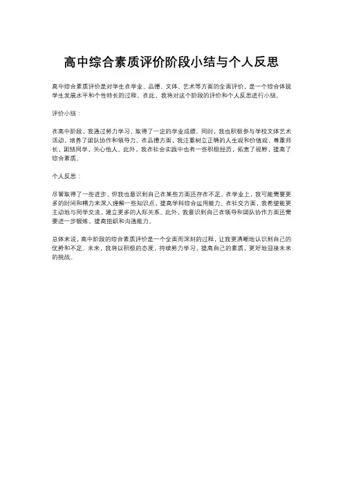 高中综合素质评价阶段小结与个人反思