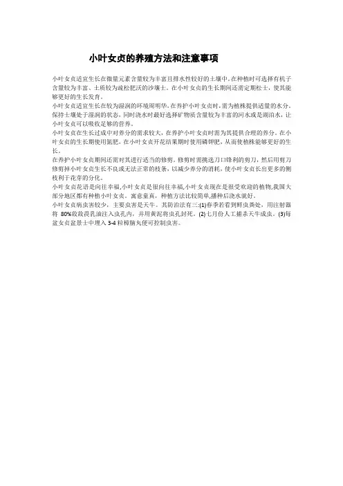 小叶女贞的养殖方法和注意事项