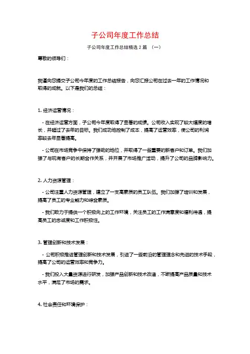 子公司年度工作总结2篇