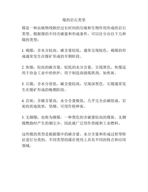 煤的岩石类型