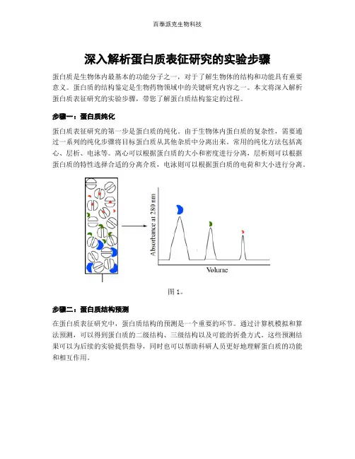 深入解析蛋白质表征研究的实验步骤