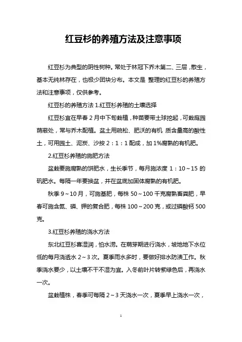红豆杉的养殖方法及注意事项