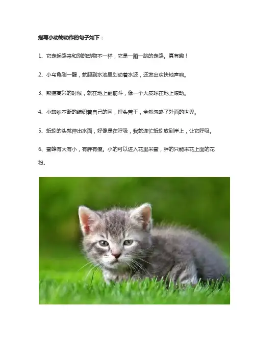 写一段描写动物动作的文字