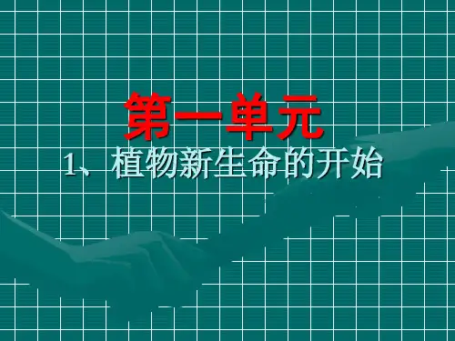 科学三下《植物新生命的开始》PPT课件