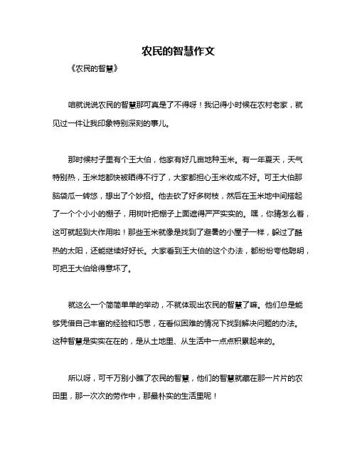 农民的智慧作文