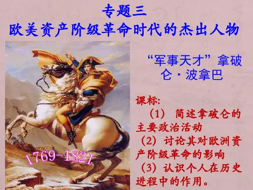 高中历史人民版选修 中外历史人物评说： “军事天才”拿破仑·波拿巴
