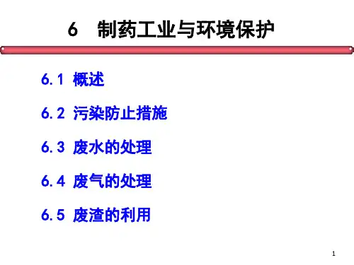 6 制药工业与环境保护