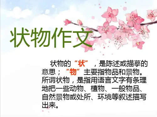 状物作文指导精品PPT课件
