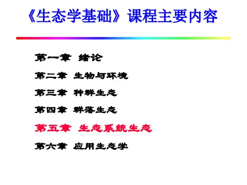 生态学基础生态系统ppt课件