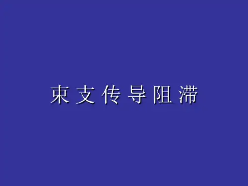 束支传导阻滞