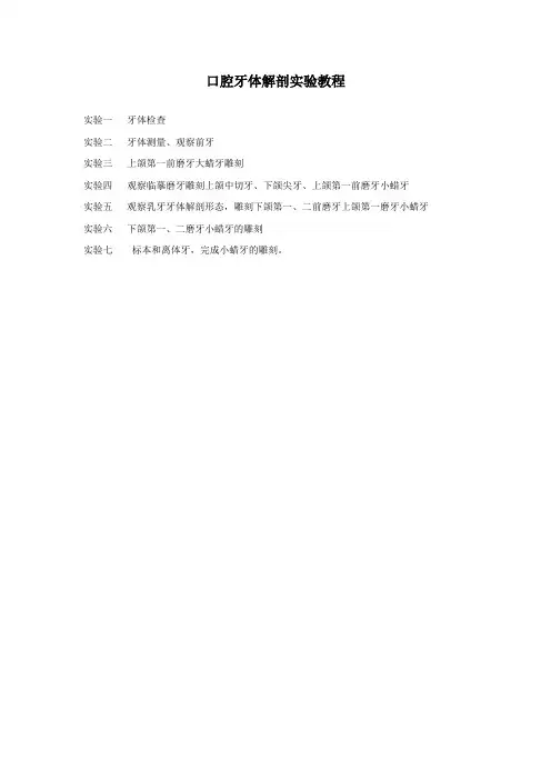 口腔牙体解剖实验教程