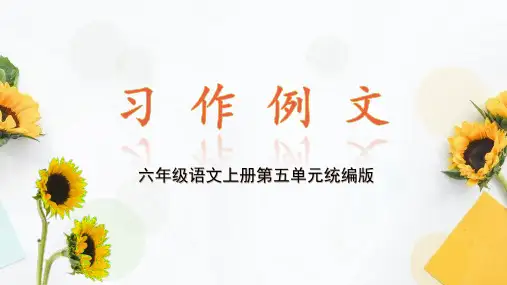 六年级语文上册第五单元《习作例文》课件(共21张PPT).ppt