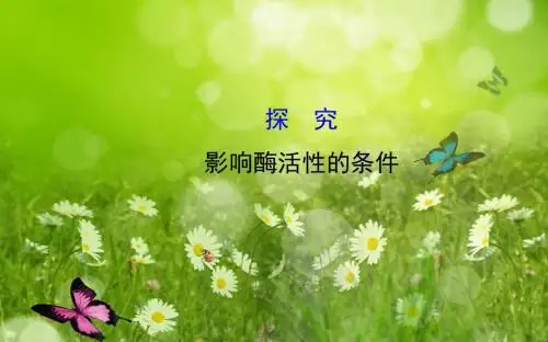 高考生物总复习模块讲解课件实验精讲系列：影响酶活性的条件(49张ppt)