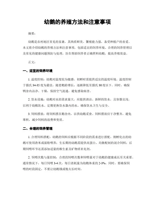 幼鹅的养殖方法和注意事项