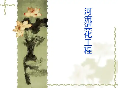 河流渠化作业