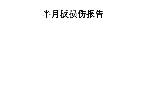半月板损伤报告ppt课件