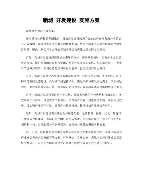 新城 开发建设 实施方案