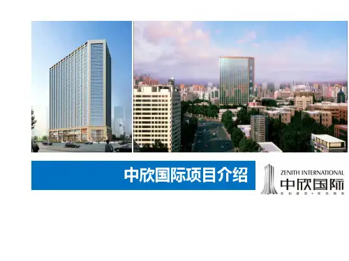 中欣国际项目PPT