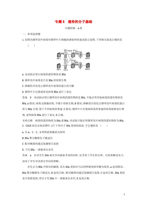 江苏专用2025版高考生物一轮复习专题8遗传的分子基础专题检测含解析
