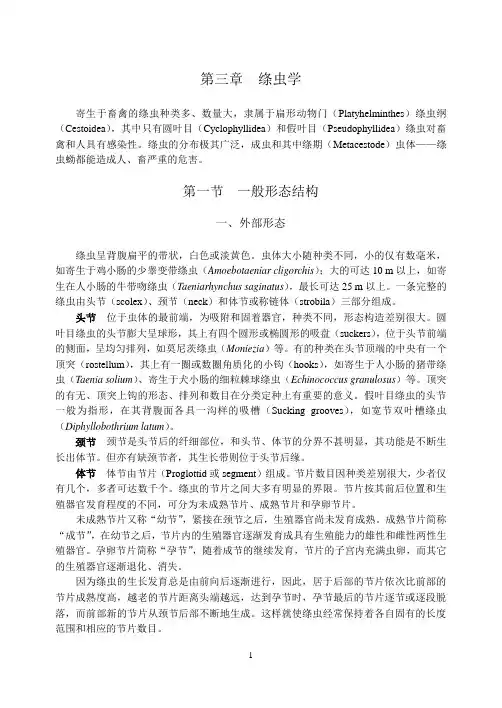 绦虫学