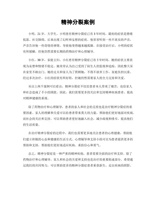 精神分裂案例