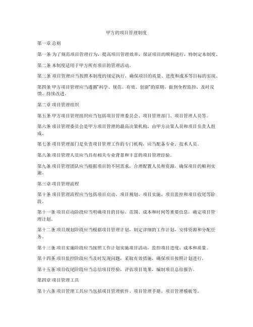 甲方的项目管理制度