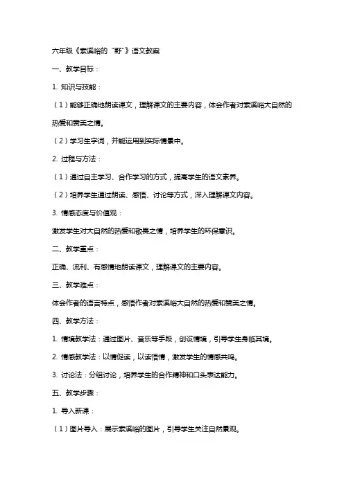 六年级《索溪峪的“野”》语文教案