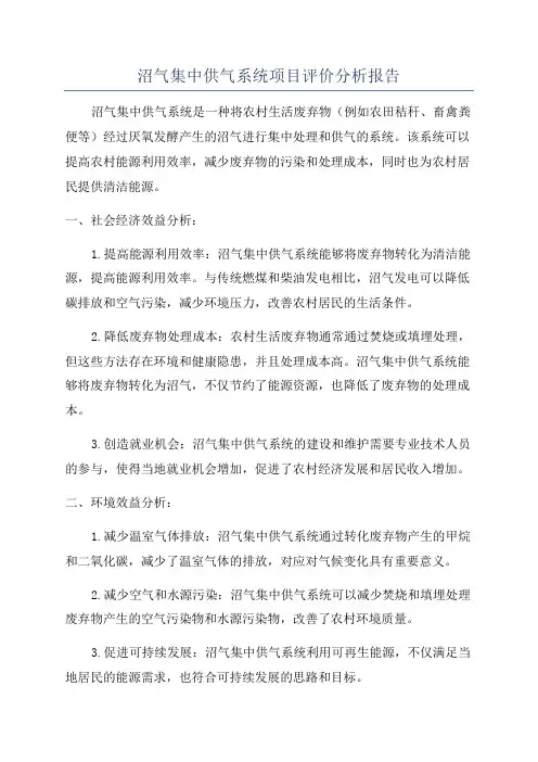 沼气集中供气系统项目评价分析报告