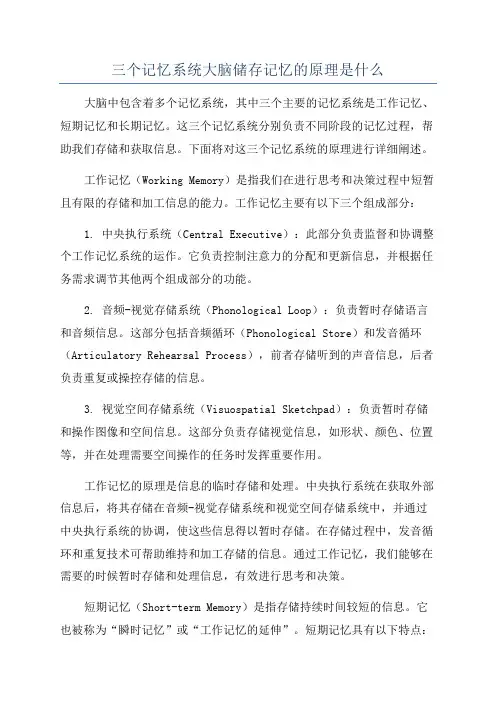 三个记忆系统大脑储存记忆的原理是什么