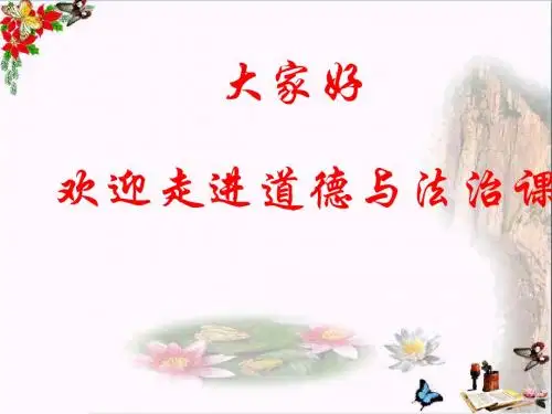 依法保护自己ppt优秀课件(2份) 鲁教版