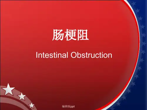 肠梗阻查房PPT课件