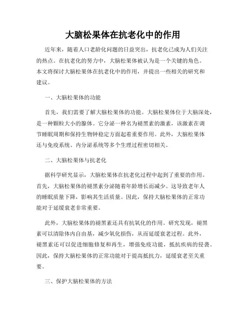 大脑松果体在抗老化中的作用